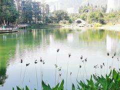 -四海公园(南山区)