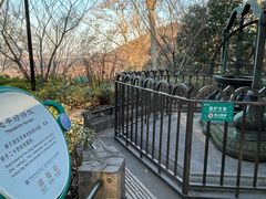-紫金山天文台