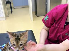 -瑞派天宁宠物医院·猫科·异宠中心