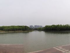 -昆山城市生态森林公园