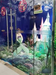 -同远QQBABY亲子摄影(北京路店)
