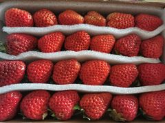 -物美(北沙滩店)