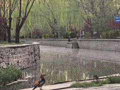 -元大都城垣遗址公园