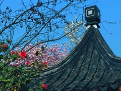 -北寺塔