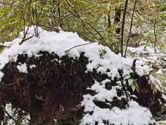 -龙苍沟森林公园