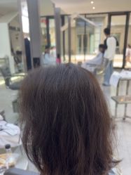 -天使之手