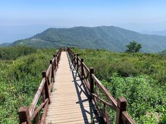 -北京鹫峰国家森林公园