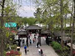 -合肥滨湖国家森林公园