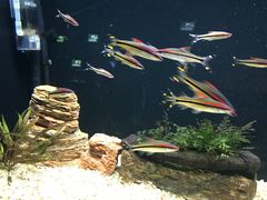 -皇家极地海洋世界-售票处