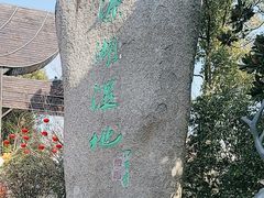 -溱湖国家湿地公园