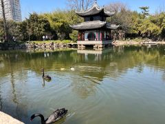 -水绘园