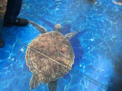 -永平路(地铁站)