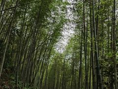 -千泷沟大瀑布旅游区