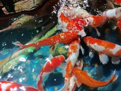 -太平洋海底世界