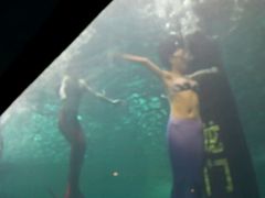 -洛阳龙门海洋馆