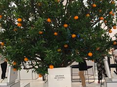 -香奈儿嘉柏丽尔香水展