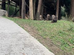 -九峰山