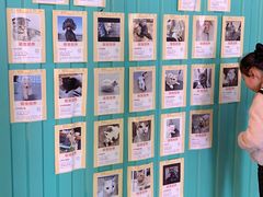 -大洋晶典(东街店)