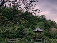 -云溪植物园