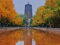 -玲珑塔公园