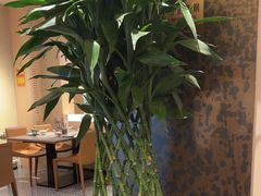 -羊门客在·烤盐池滩羊·川菜