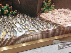 -新艺自助美食城(中山路店)