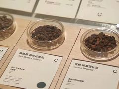 -dotcom coffee古点咖啡(致真大厦店)