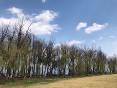 -大理洱海