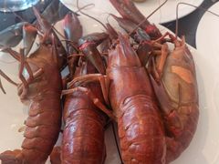 -Social 秀西餐厅-长沙瑞吉酒店(运达店)