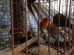 -鱼桥巷·美学川菜