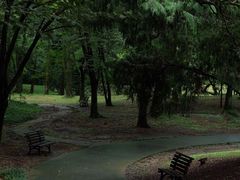 -杭州植物园
