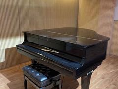 -柏斯琴行(汾阳店)