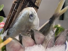 -椰小鸡·琼州糟粕醋·火锅(美兰缤纷城店)