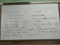 招牌鸡-新南华大酒店(长寿店)