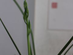 -碑林公园