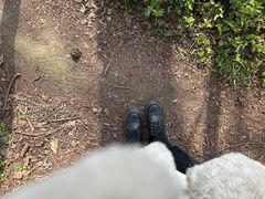 -桤木河湿地公园