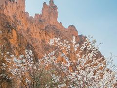 -彩色沙林风景区