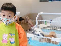 -怪兽屋·羊驼·猫咖·狗咖(俊华广场店)