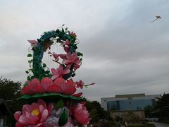 -映月湖公园