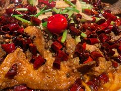 -老板恋上鱼(印象城店)