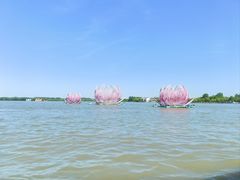 -溱湖国家湿地公园