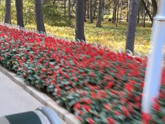 -黑龙江省森林植物园