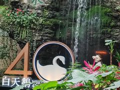 -白天鹅宾馆·流浮阁咖啡厅