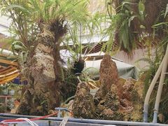 -稻香村鱼庄