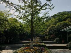 -杭州半山国家森林公园