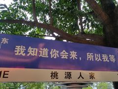 -桃源人家(环城南路店)