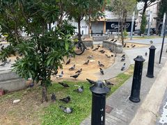 -金伯利街美食夜市