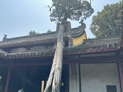 -太平天国侍王府