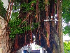 -三坊七巷历史文化街区