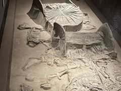 -北京大葆台遗址博物馆